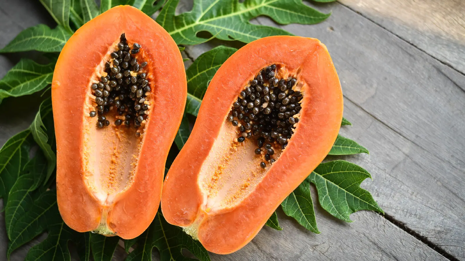 lợi ích của đu đủ