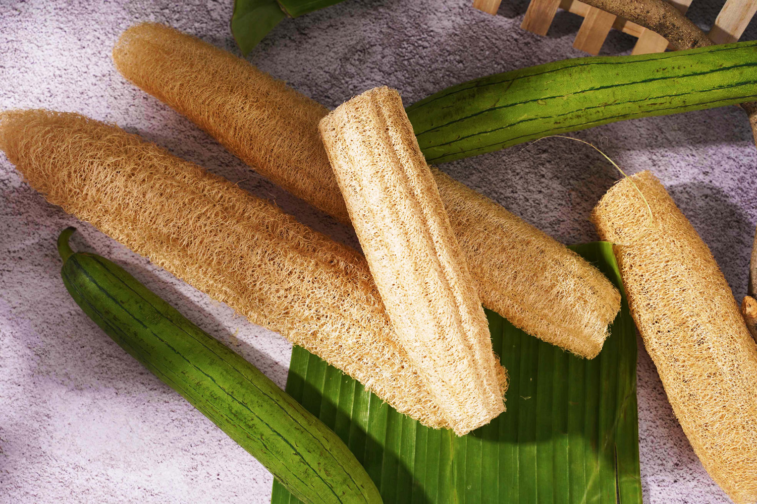 Cách làm sạch bình đun siêu tốc