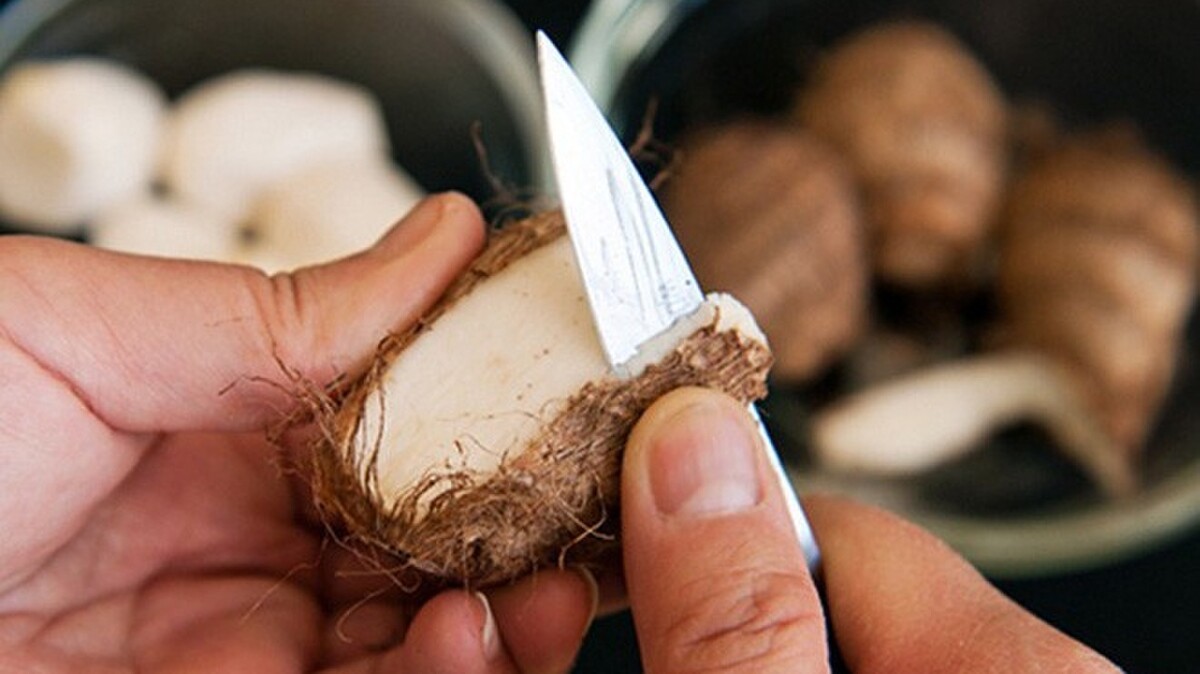 Cách làm sạch bình đun siêu tốc