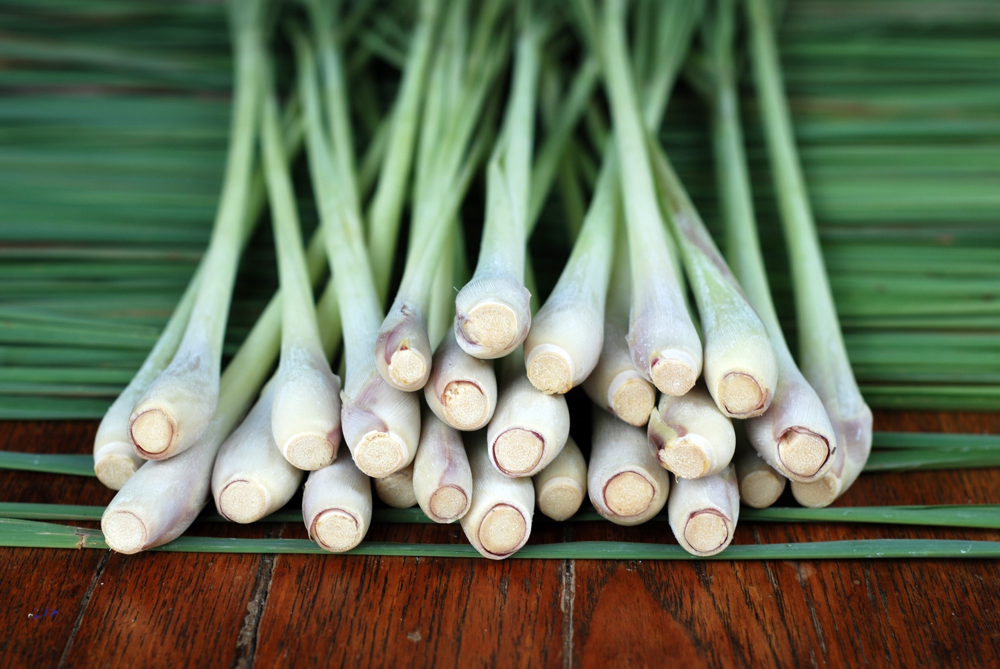 cách trị gàu bằng sả đơn giản mà hiệu quả