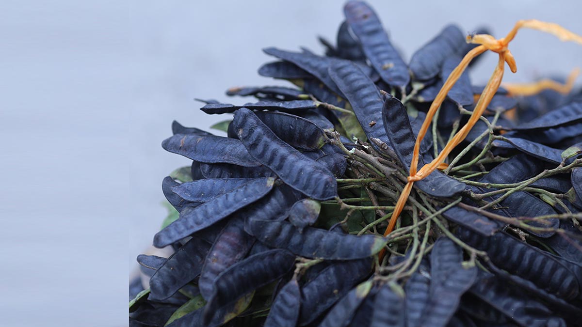 cách trị gàu bằng sả đơn giản mà hiệu quả