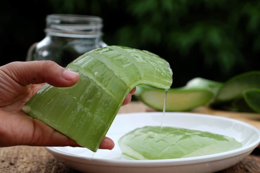 cách chế biến nha đam giòn ngon, không bị đắng