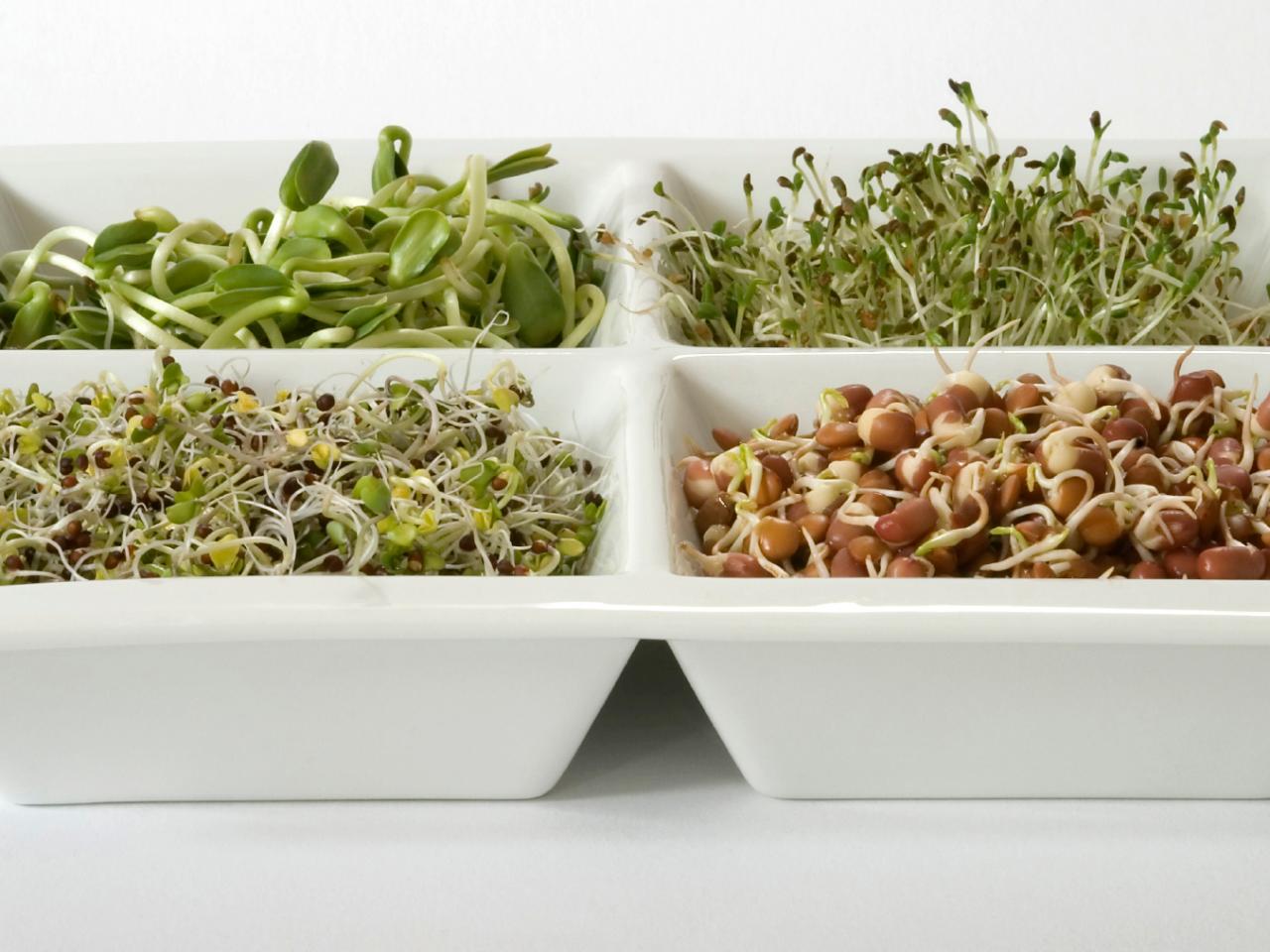 tác dụng của rau mầm đối với sức khỏe