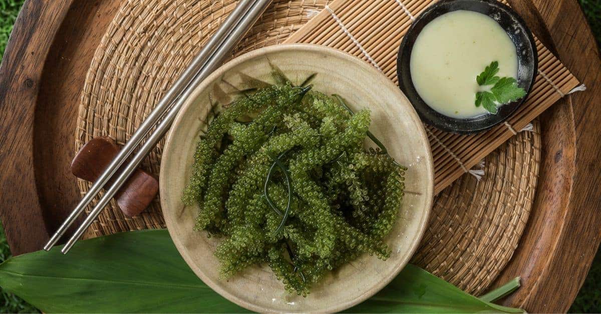lợi ích của rong nho đối với sức khỏe