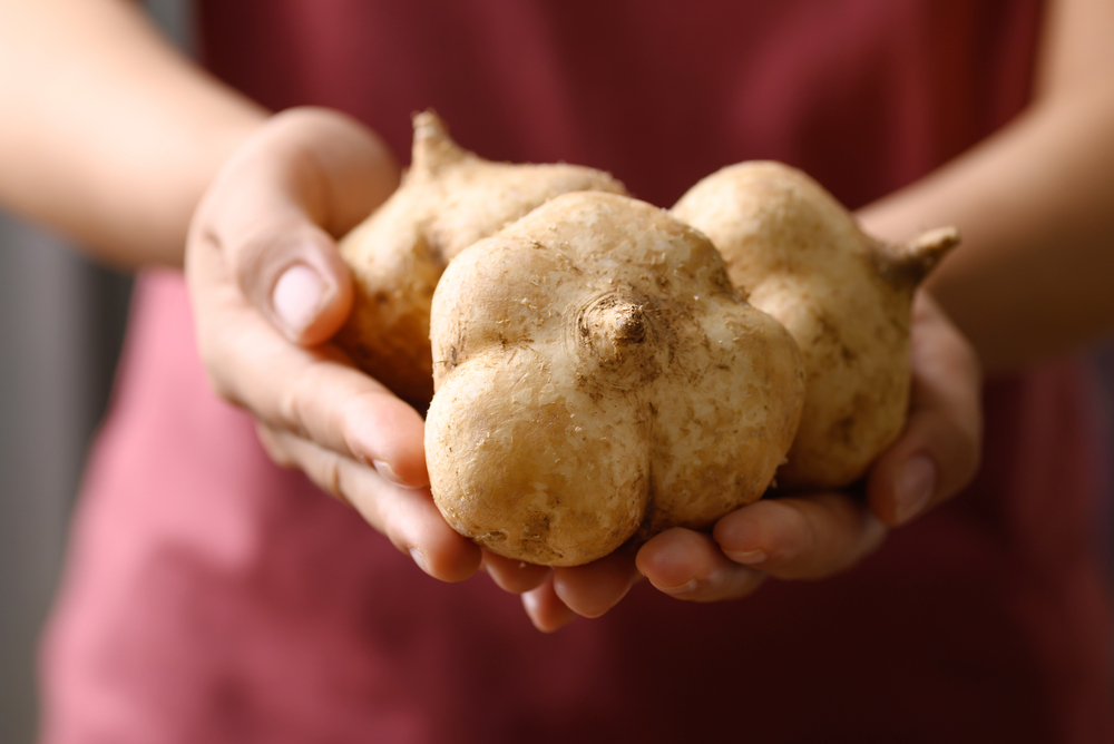 lợi ích của củ đậu đối với sức khỏe