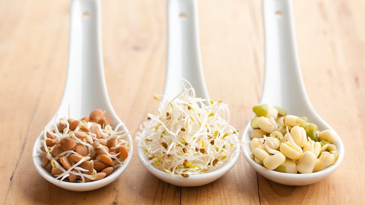 tác dụng của rau mầm đối với sức khỏe