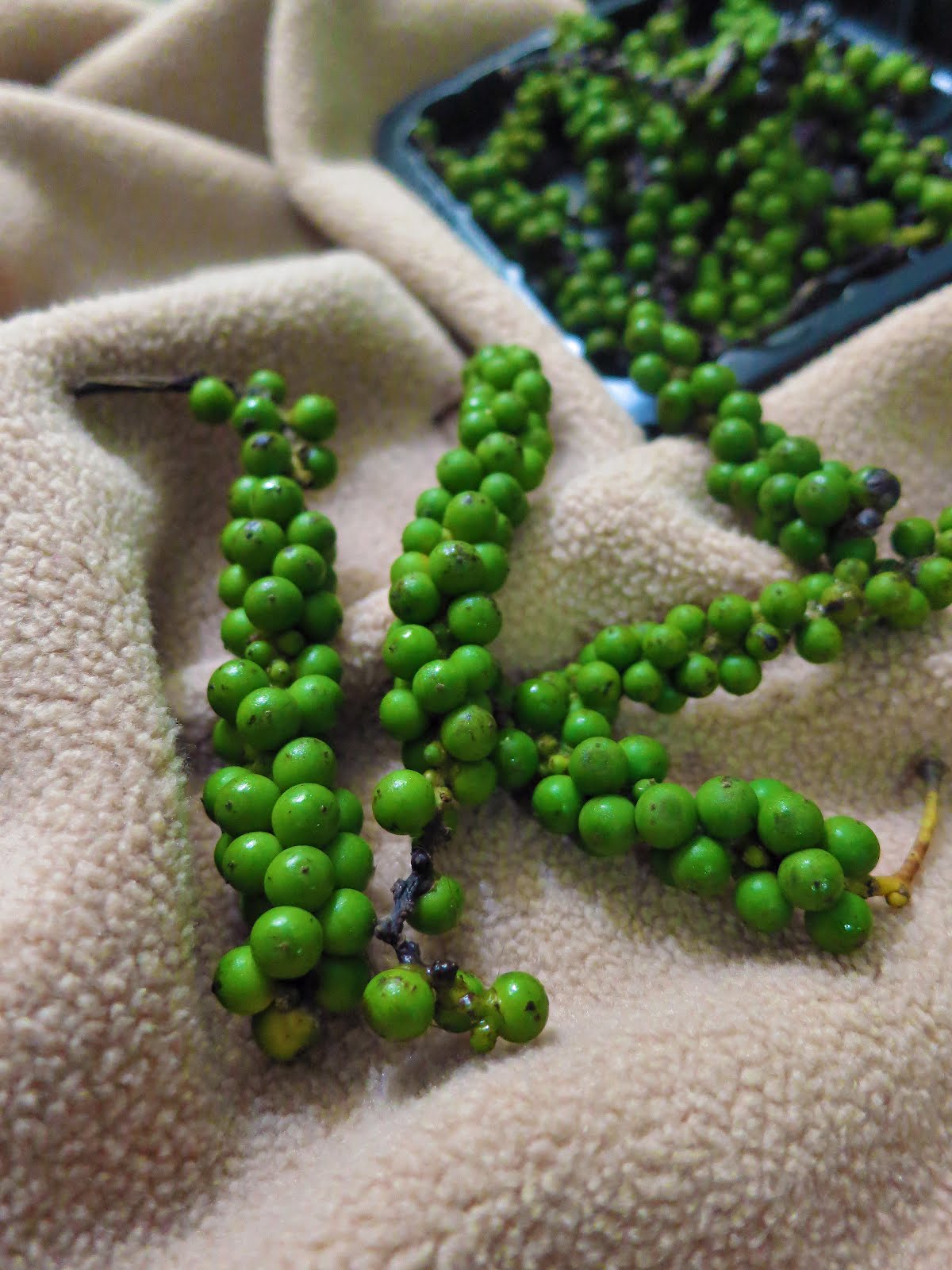 mẹo chiên thức ăn không bị bắn dầu