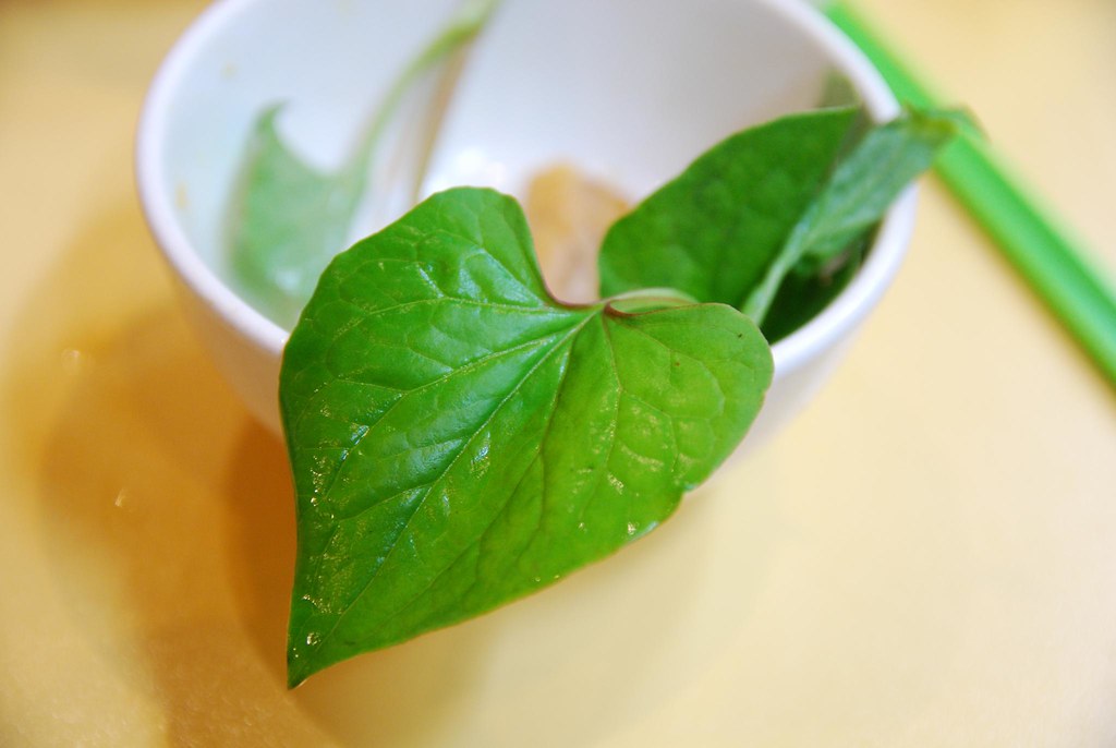 lợi ích của rau diếp cá