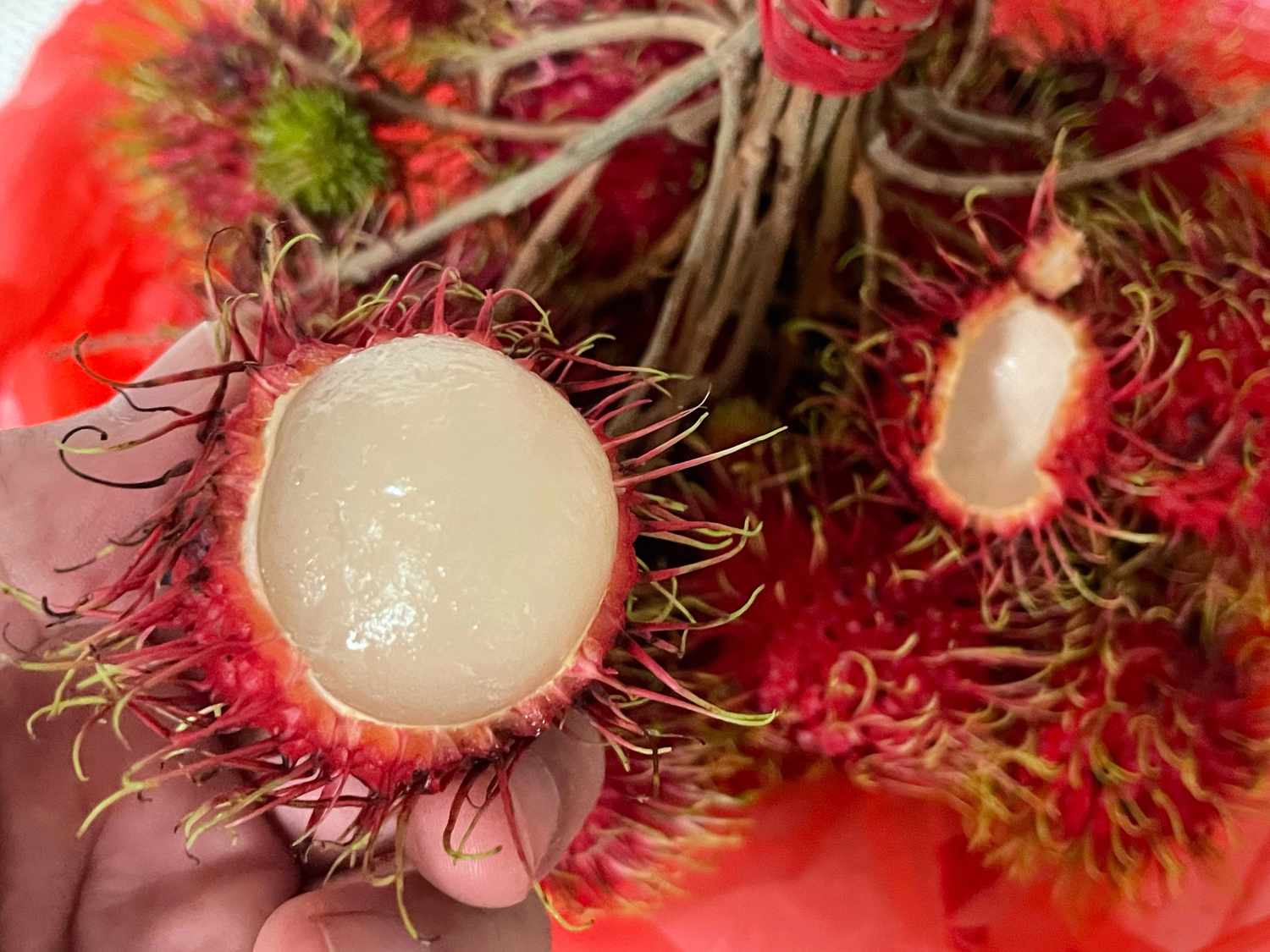 cách chọn mua và bảo quản chôm chôm
