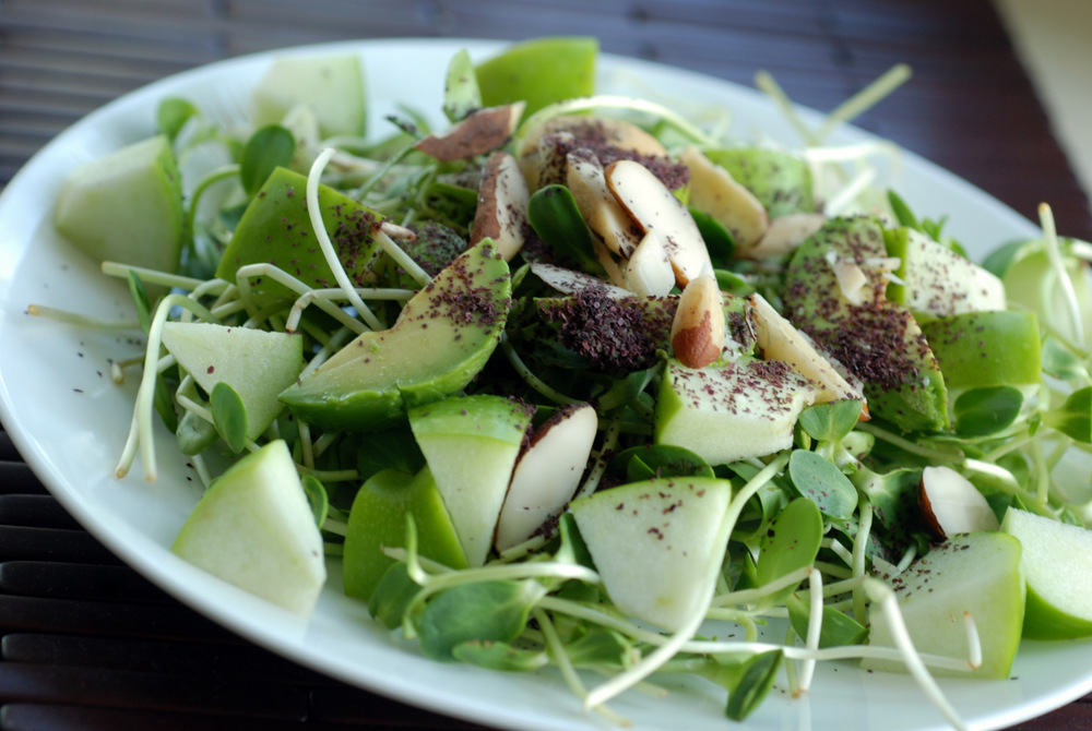 lợi ích của rau mầm hướng dương đối với sức khỏe