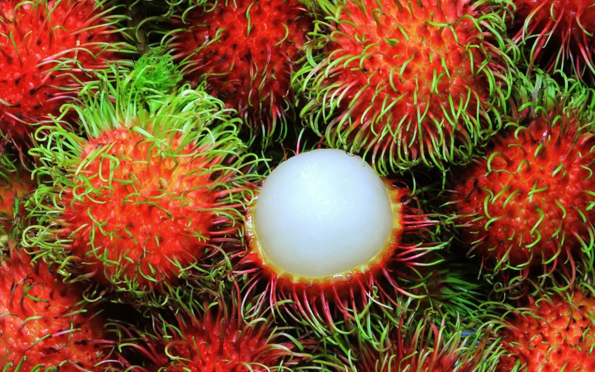 cách chọn mua và bảo quản chôm chôm