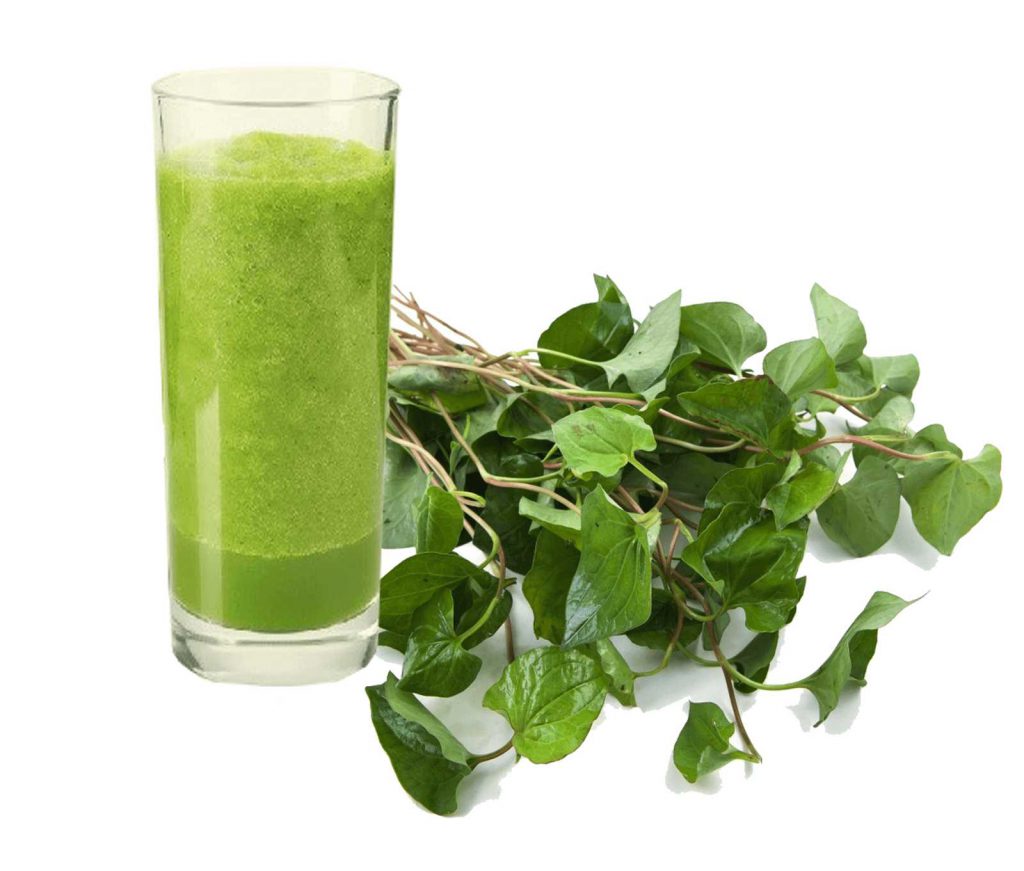 lợi ích của rau diếp cá