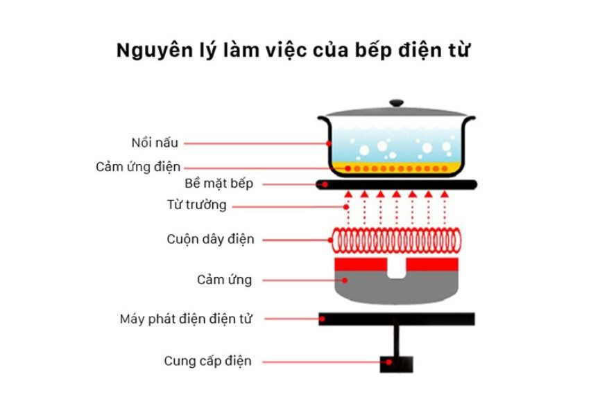 Lý do nên thay bếp gas bằng bếp từ