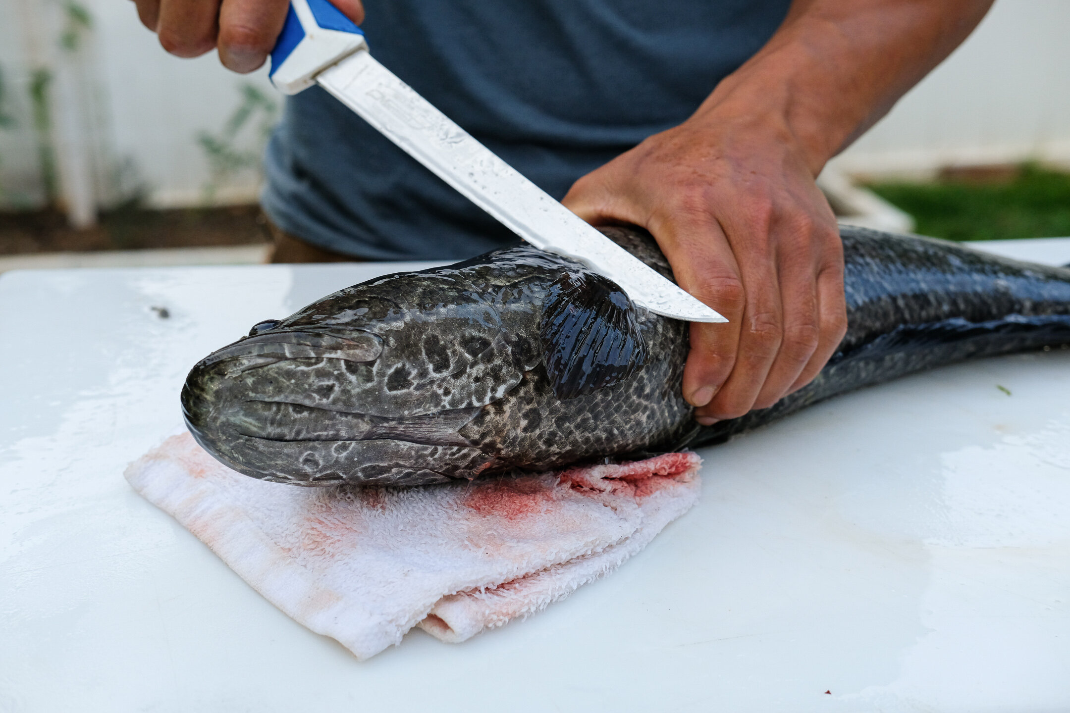 mẹo gỡ xương cá