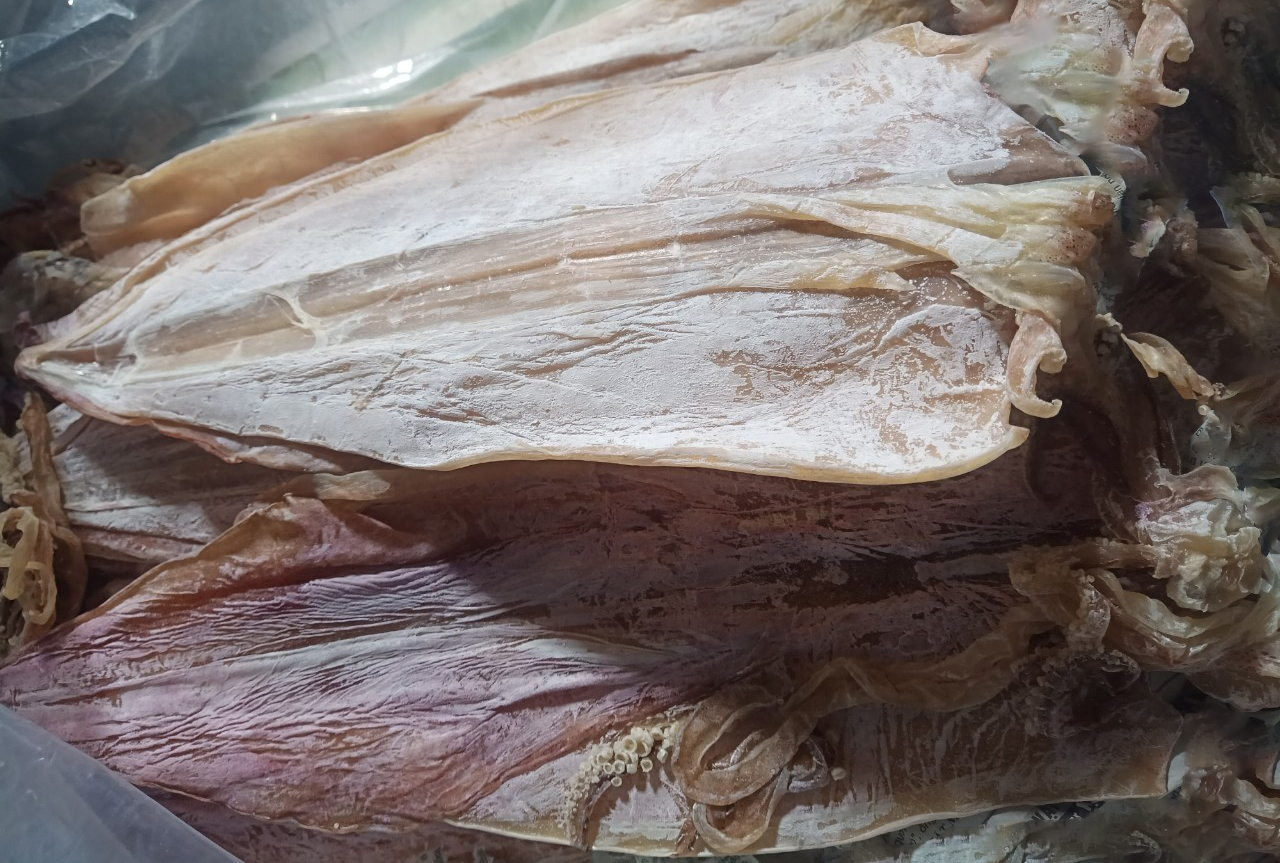 cách chọn mua mực khô 