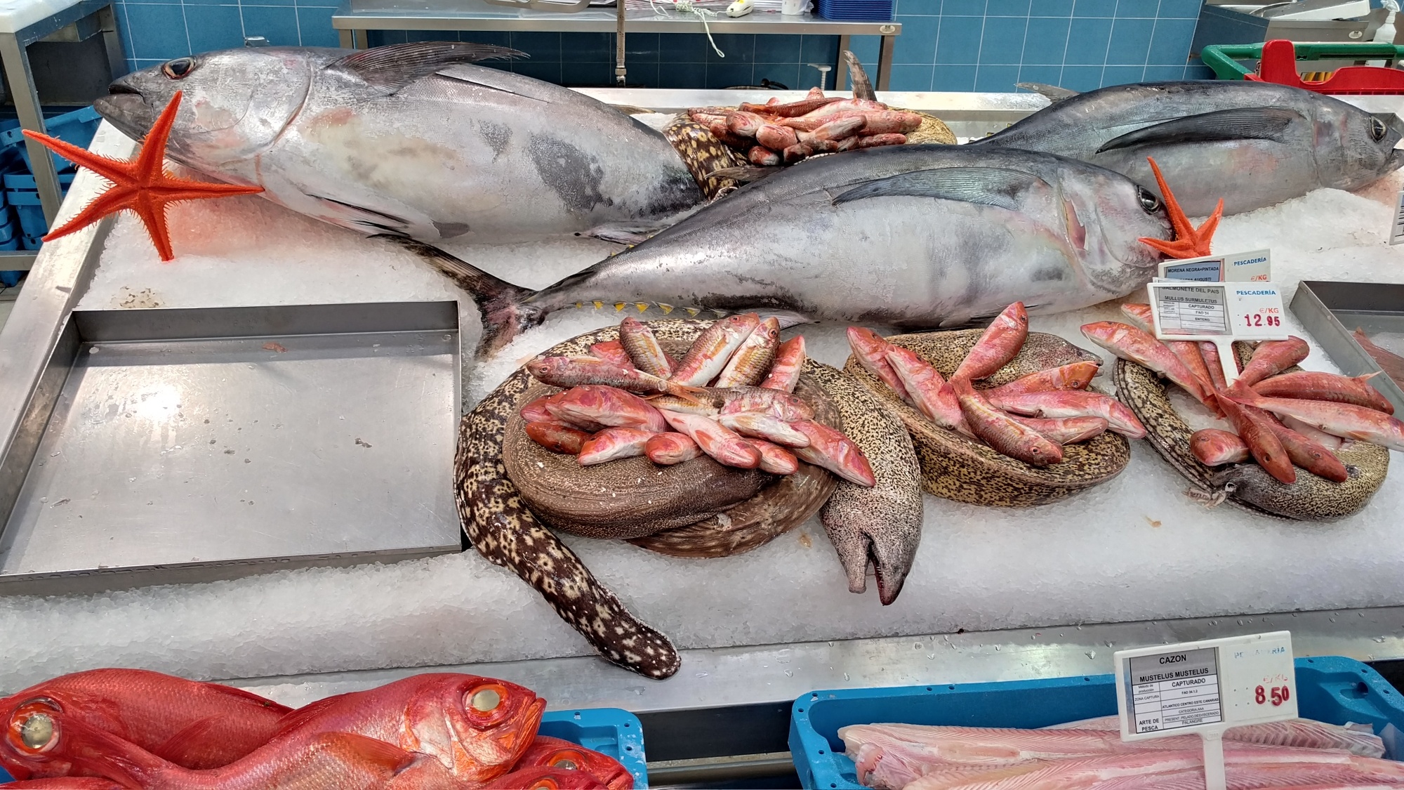 kỹ năng đi chợ mua cá tươi ngon