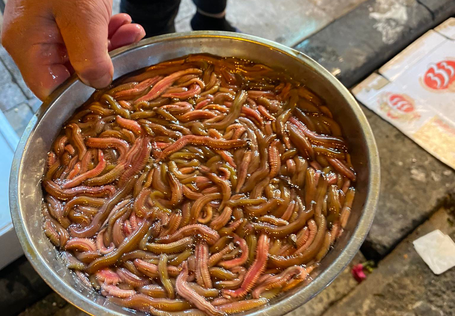 cách chọn mua và sơ chế rươi