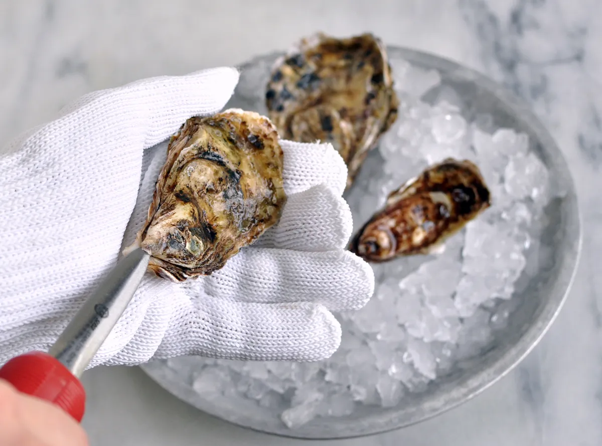 mẹo chọn mua hàu tươi ngon