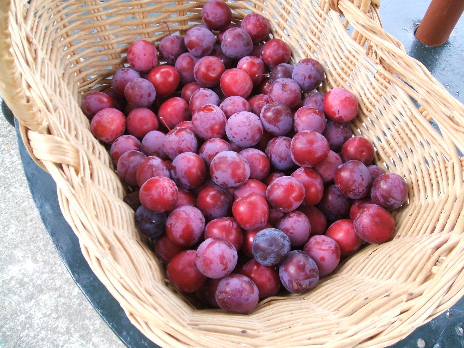 cách chọn mận đầu mùa ngon