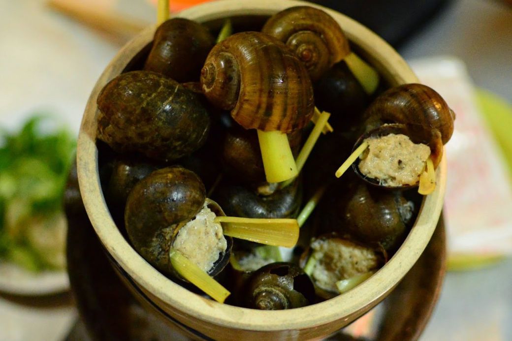 cách lựa chọn ốc tươi ngon