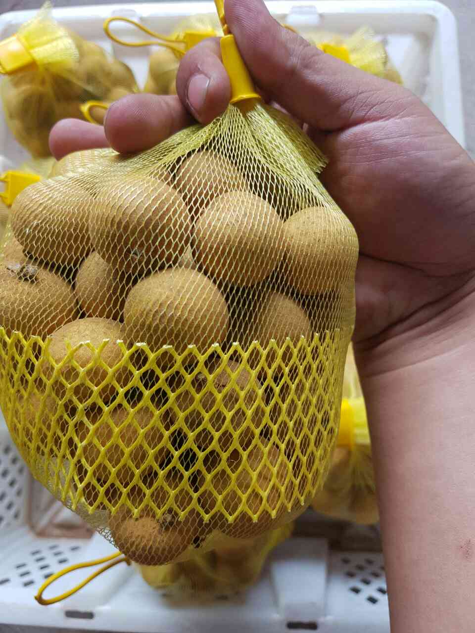 Cách bảo quản nhãn trong tủ lạnh