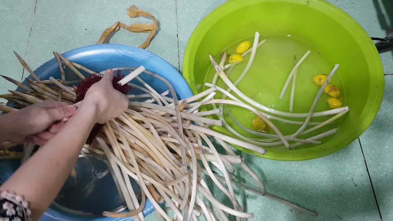 Vietnamese lotus root salad.