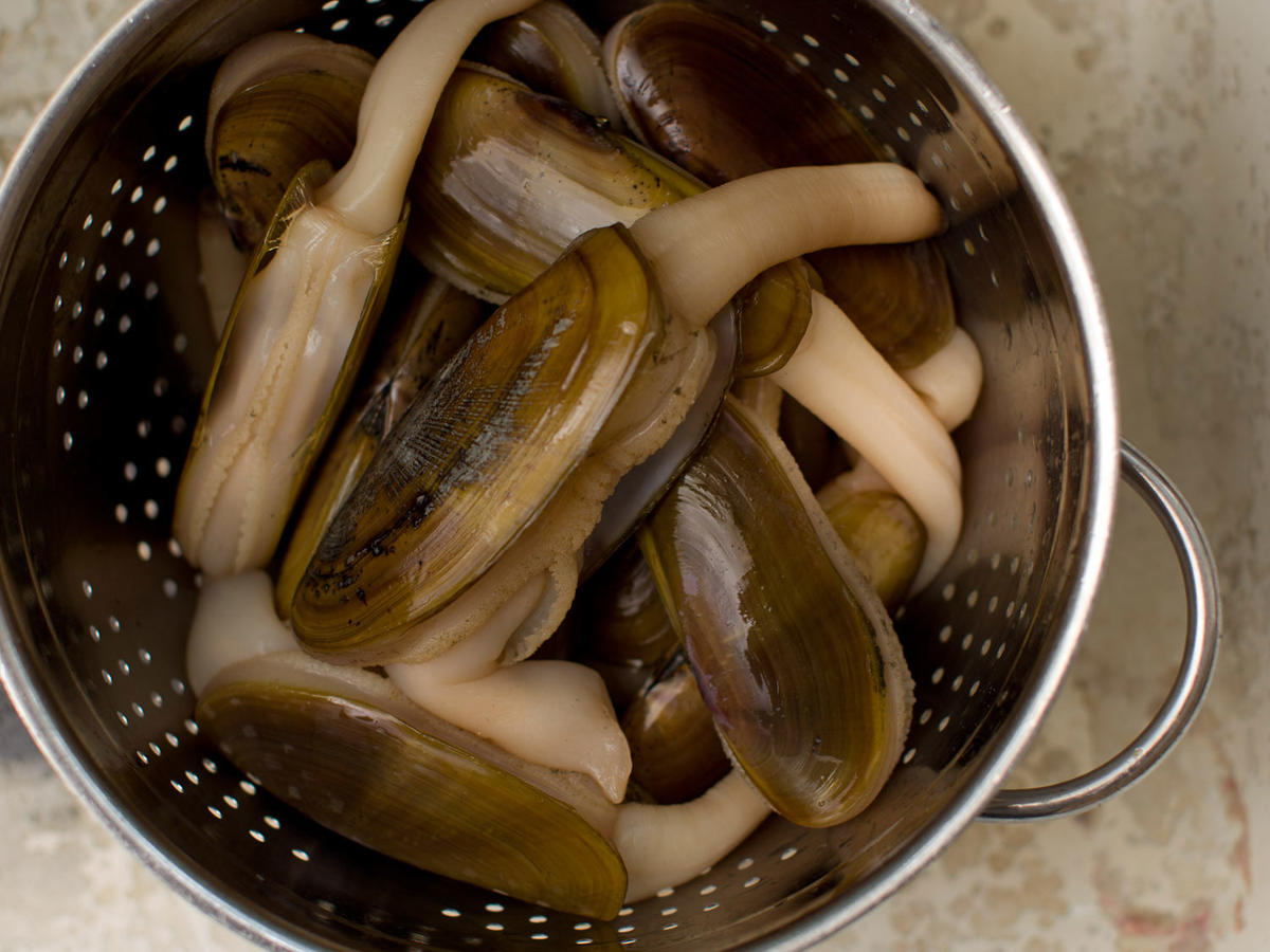 cách lựa chọn ốc tươi ngon