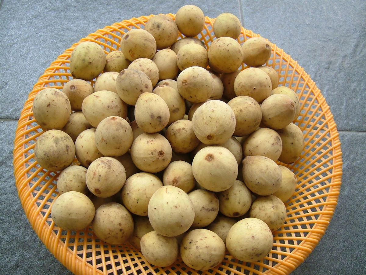lợi ích của quả bòn bon
