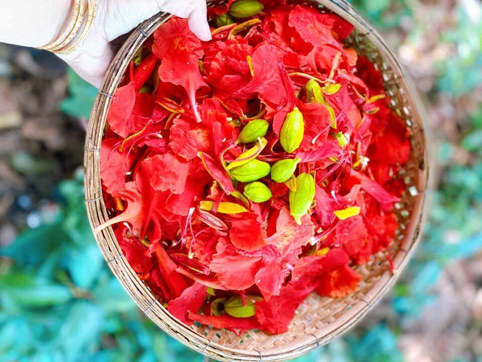 cách làm gỏi gà hoa phượng