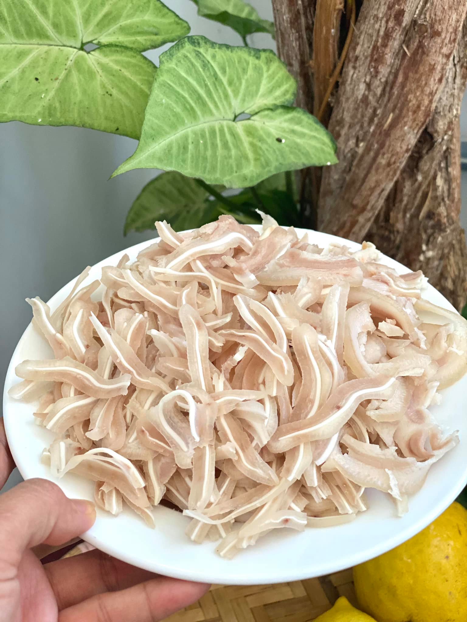 công thức làm tai heo ngâm mắm chua ngọt