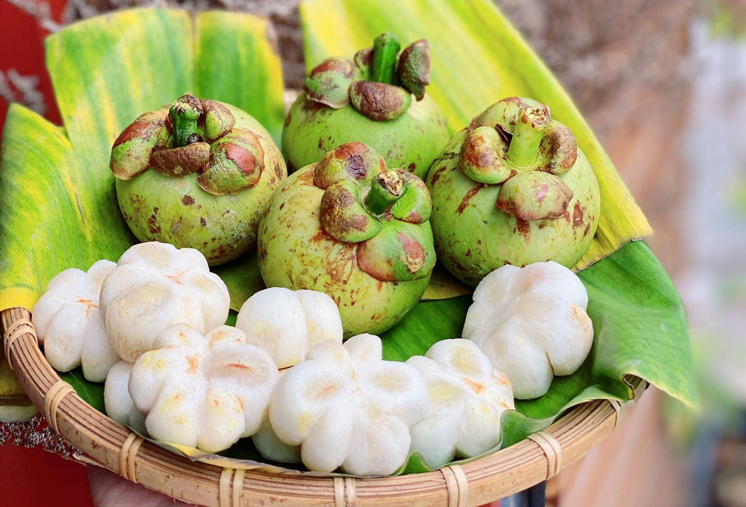 cách làm gỏi gà măng cụt