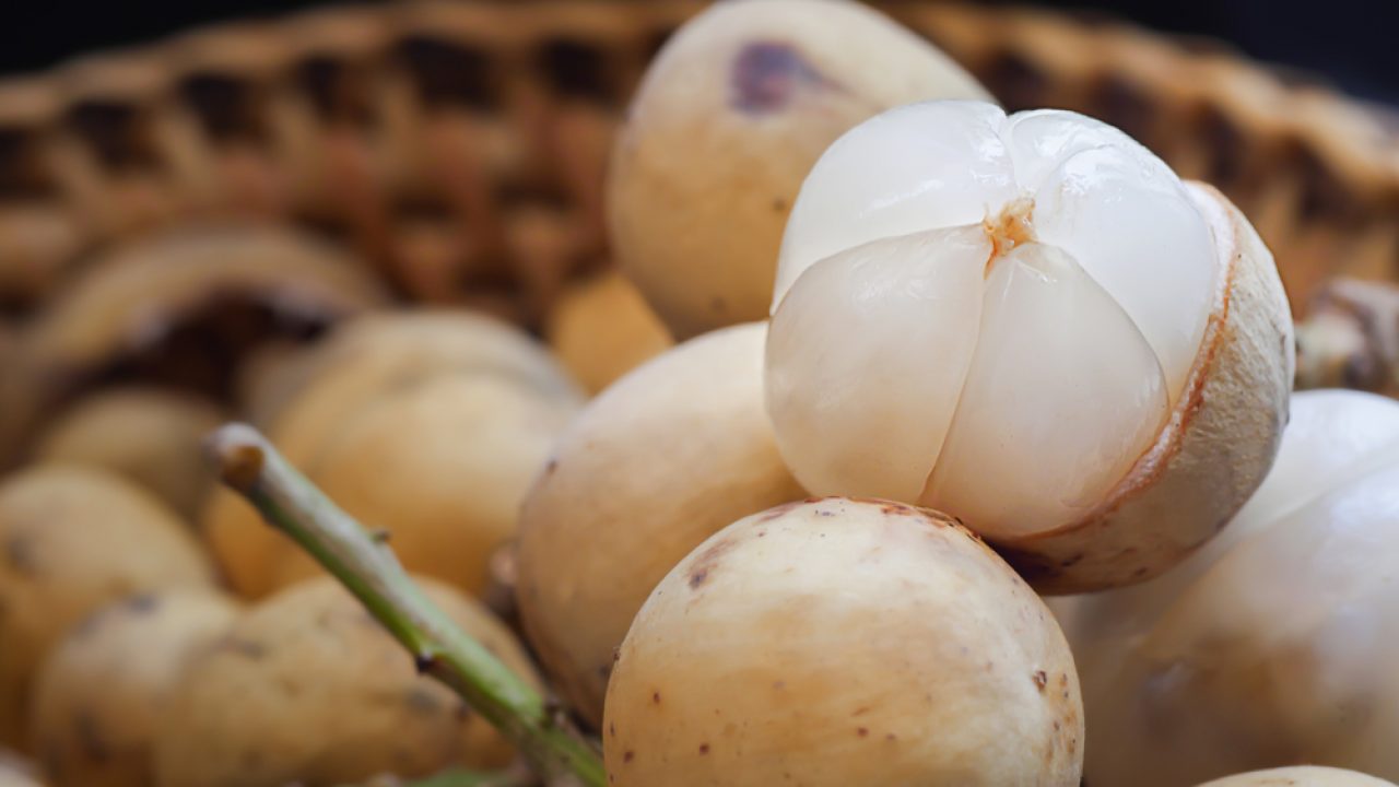 lợi ích của quả bòn bon