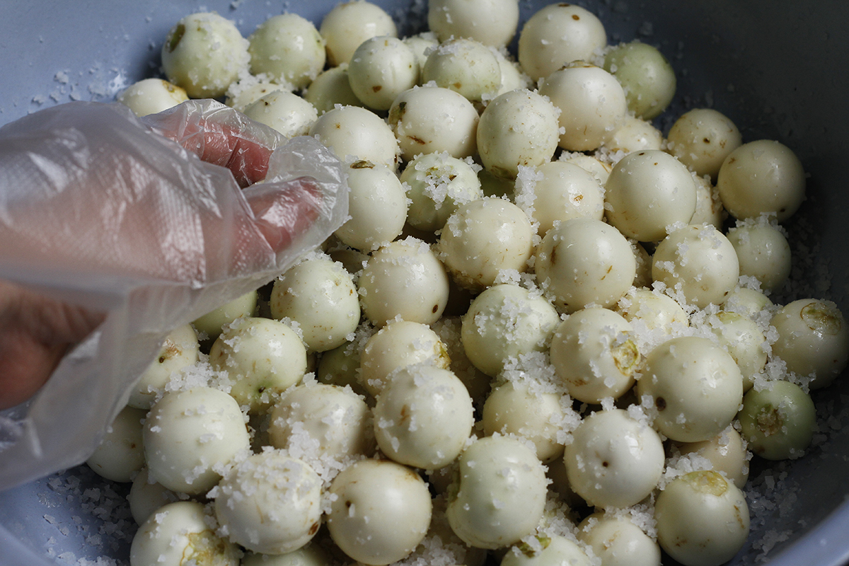 mẹo chọn cà pháo non, giòn