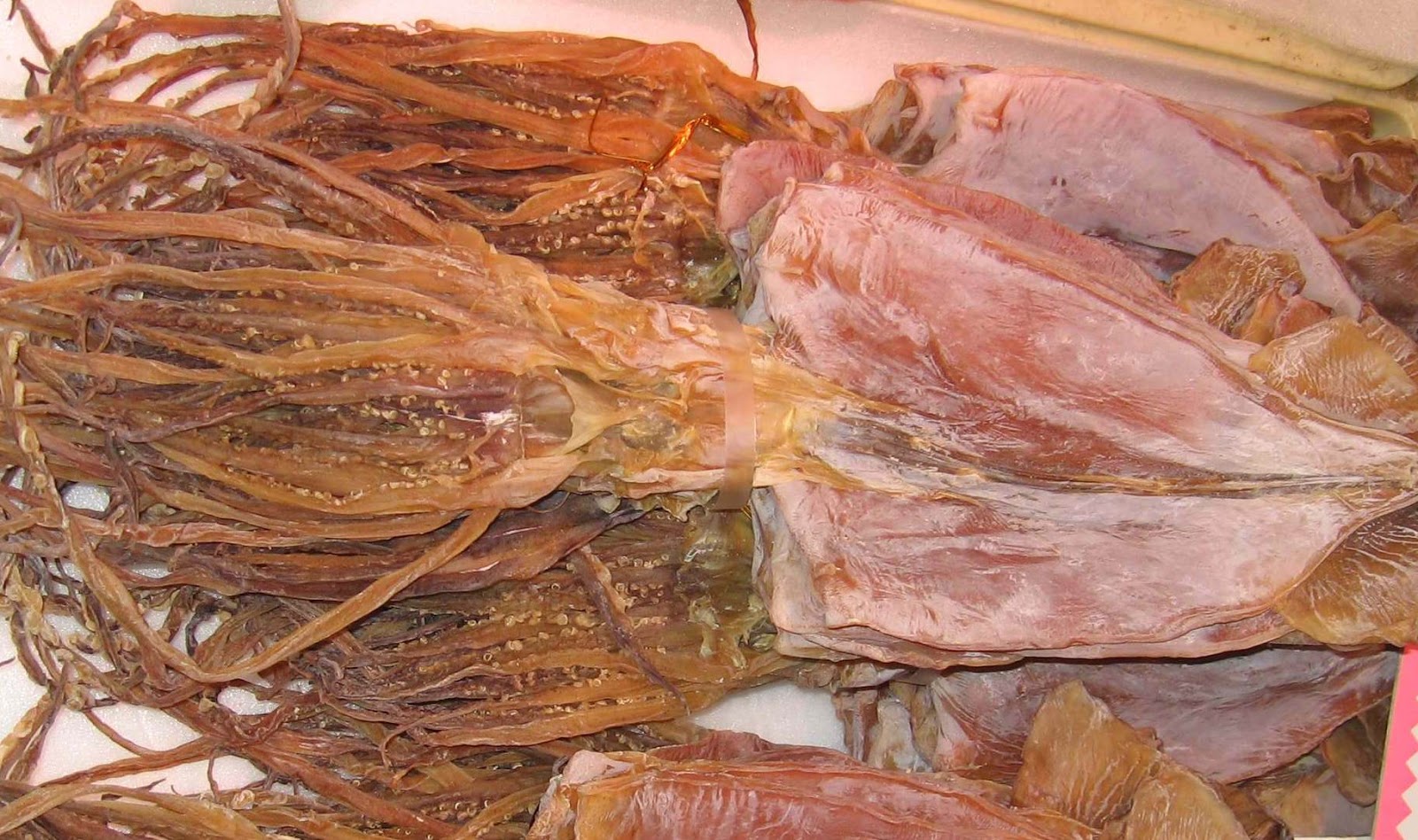 bảo quản mực khô đúng cách
