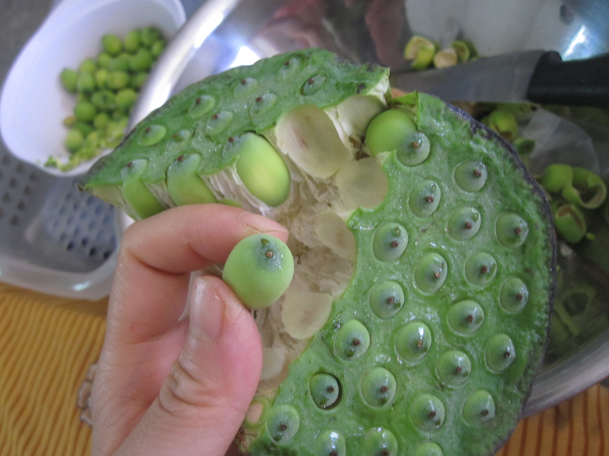 cách chọn mua hạt sen để nấu chè không bị sượng