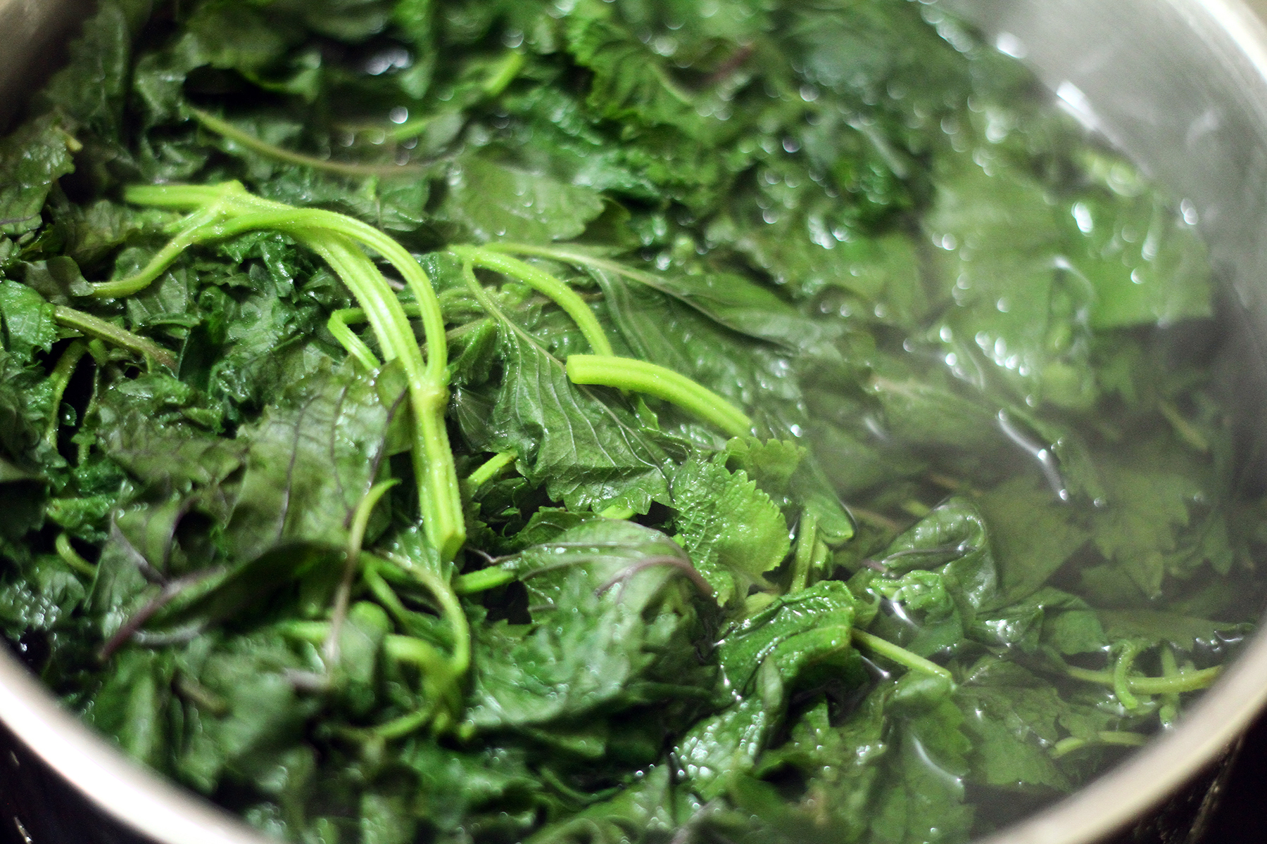 cách làm trà tía tô tại nhà