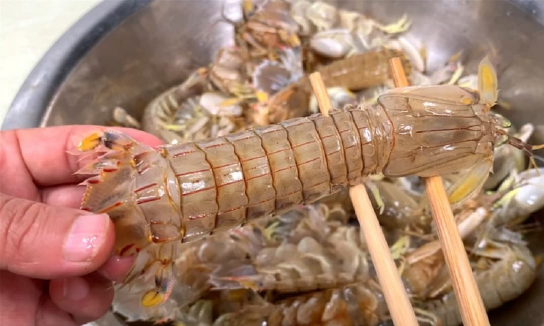 cách sơ chế tôm tít được nhiều thịt nhất