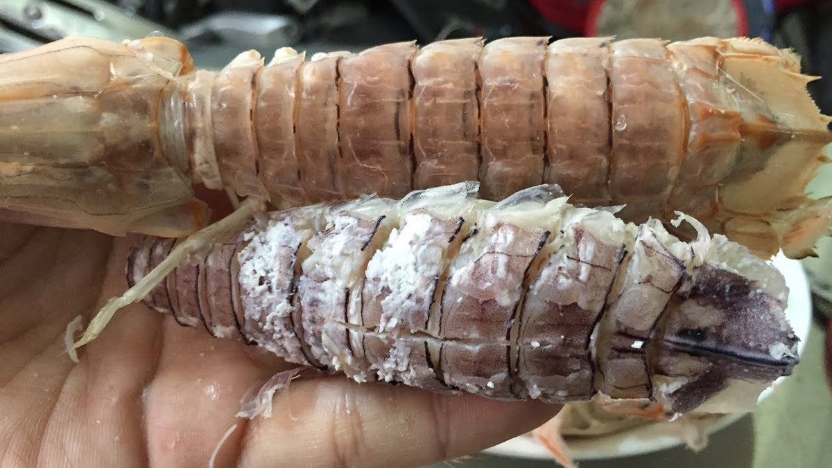 cách sơ chế tôm tít được nhiều thịt nhất