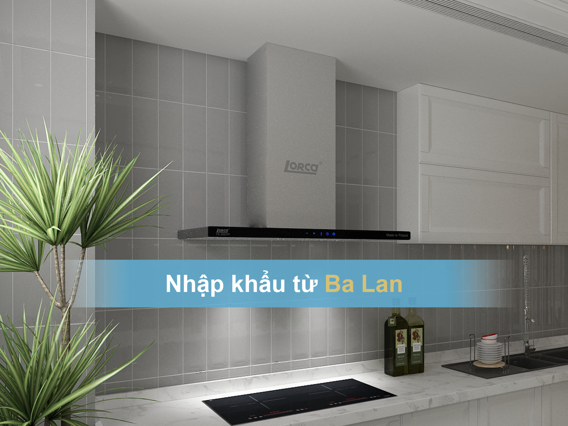 Máy hút mùi bếp Lorca TA 6007P