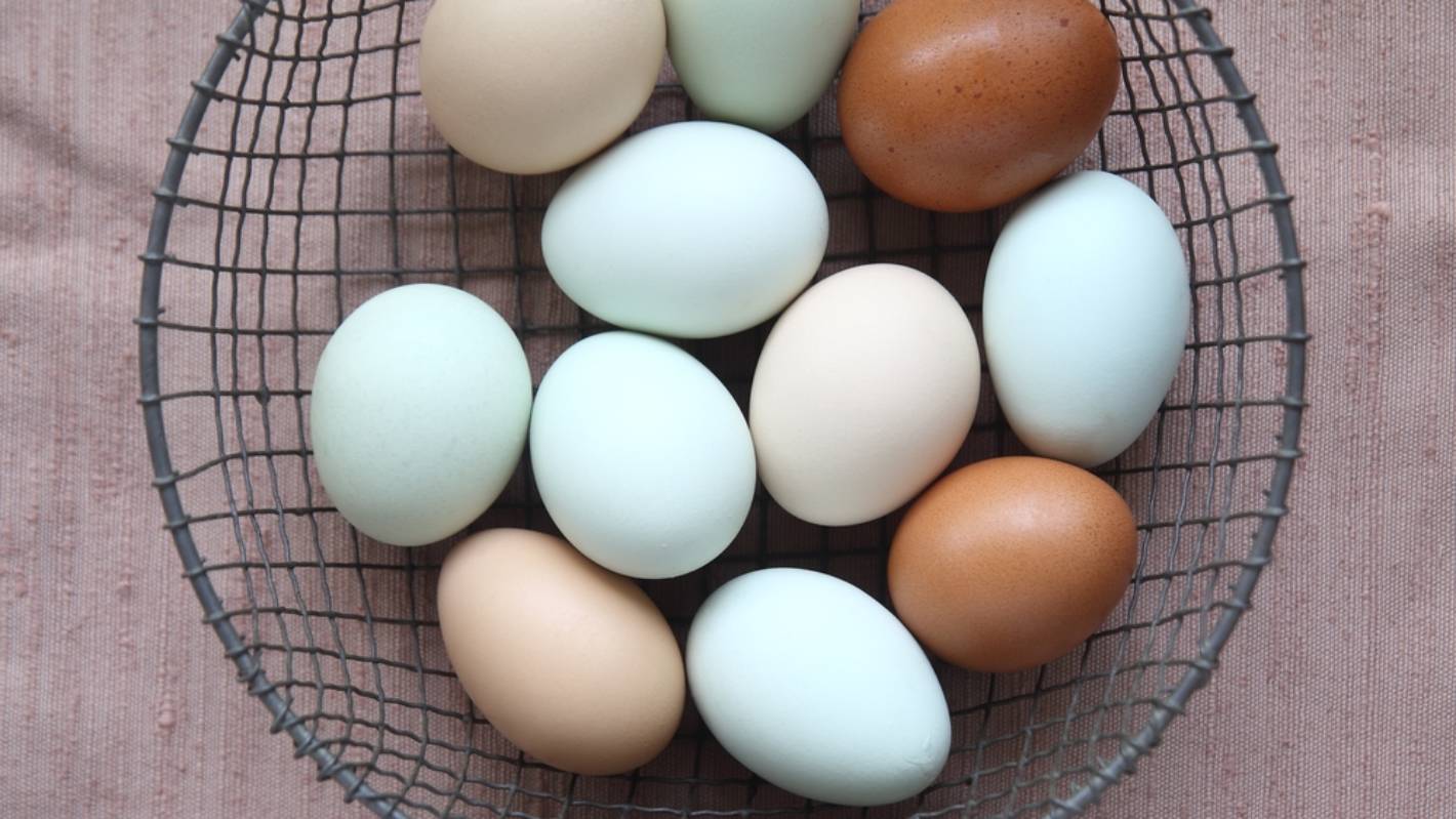 Trứng sống còn nguyên vỏ