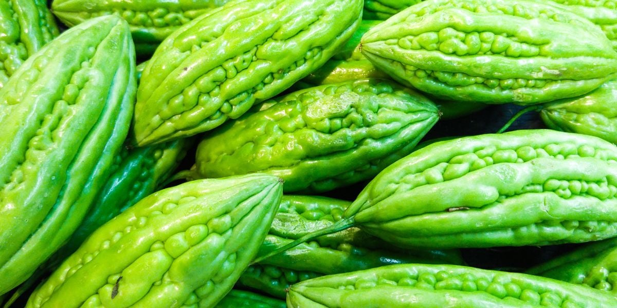 mẹo chọn khổ qua ngon, ít đắng