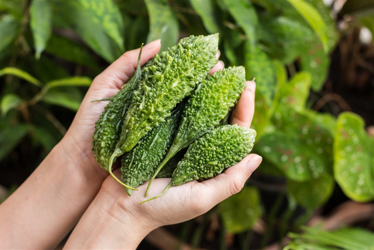 cách làm trà mướp đắng tại nhà