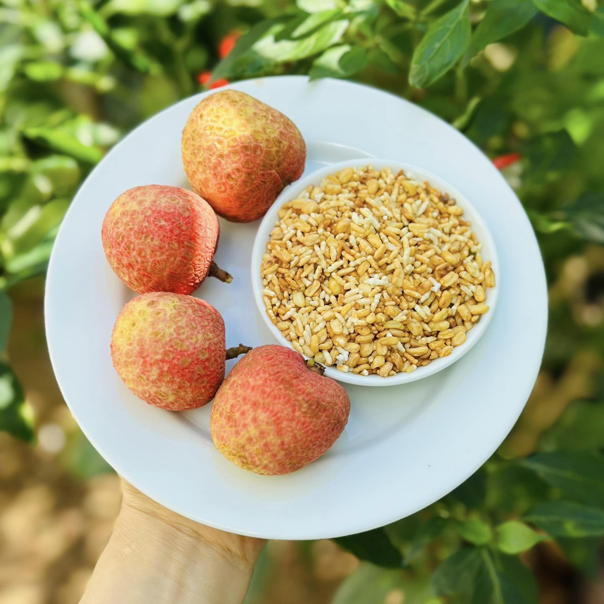 cách làm sữa gạo tạo ngọt bằng vải tươi