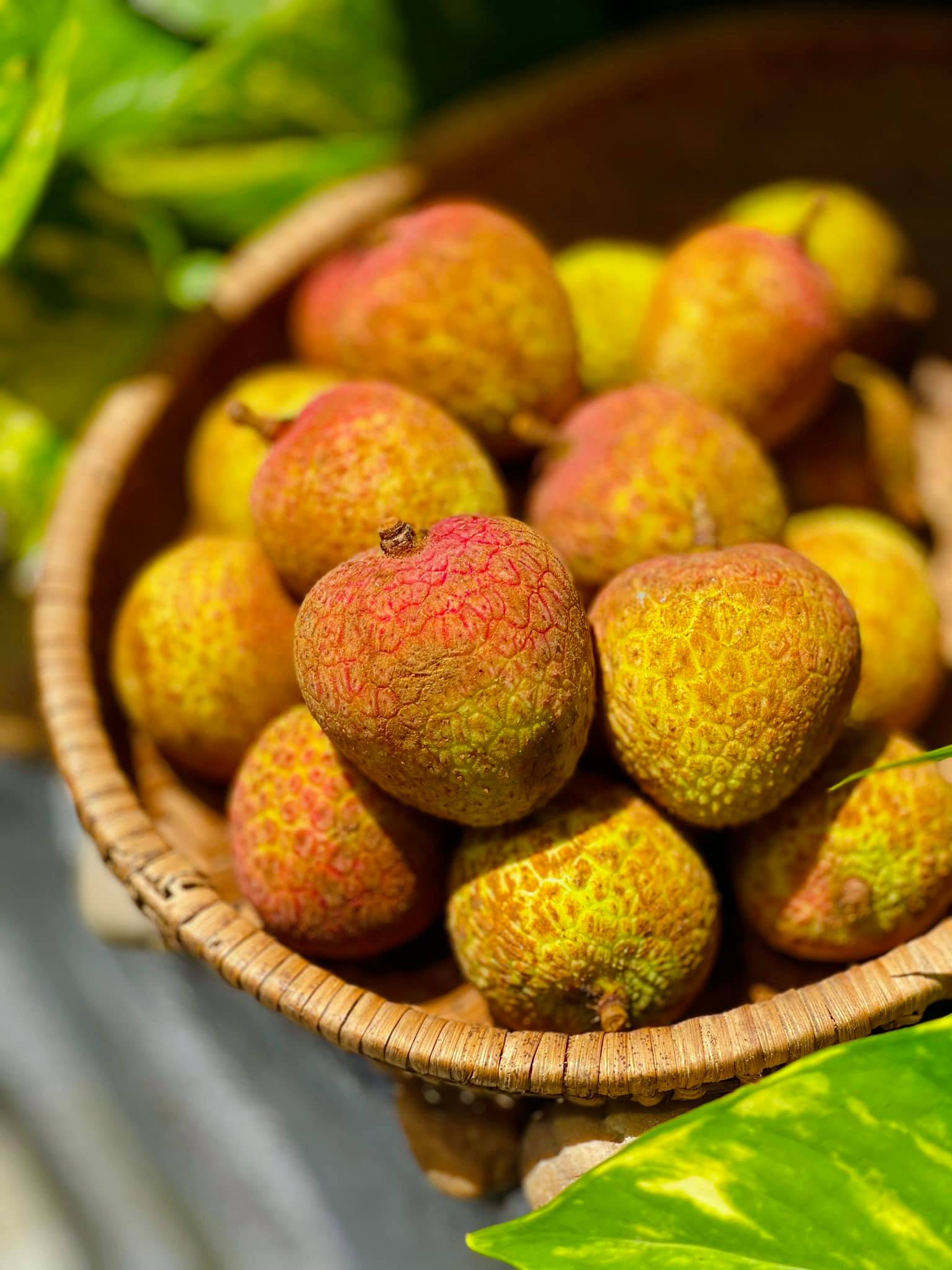 mẹo bảo quản vải thiều để cả tháng vẫn tươi ngon