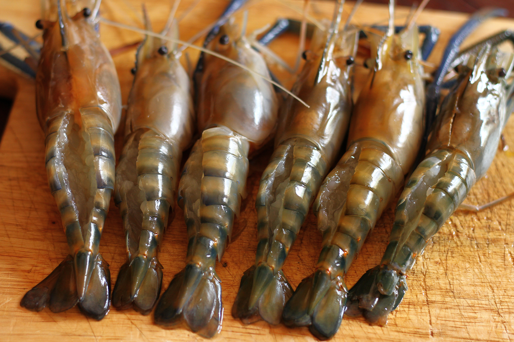 cách làm tôm nướng phô mai bằng nồi chiên không dầu