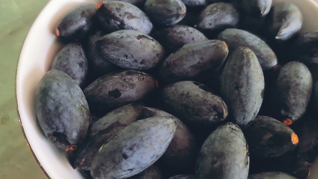 mẹo sơ chế và bảo quản trám đen