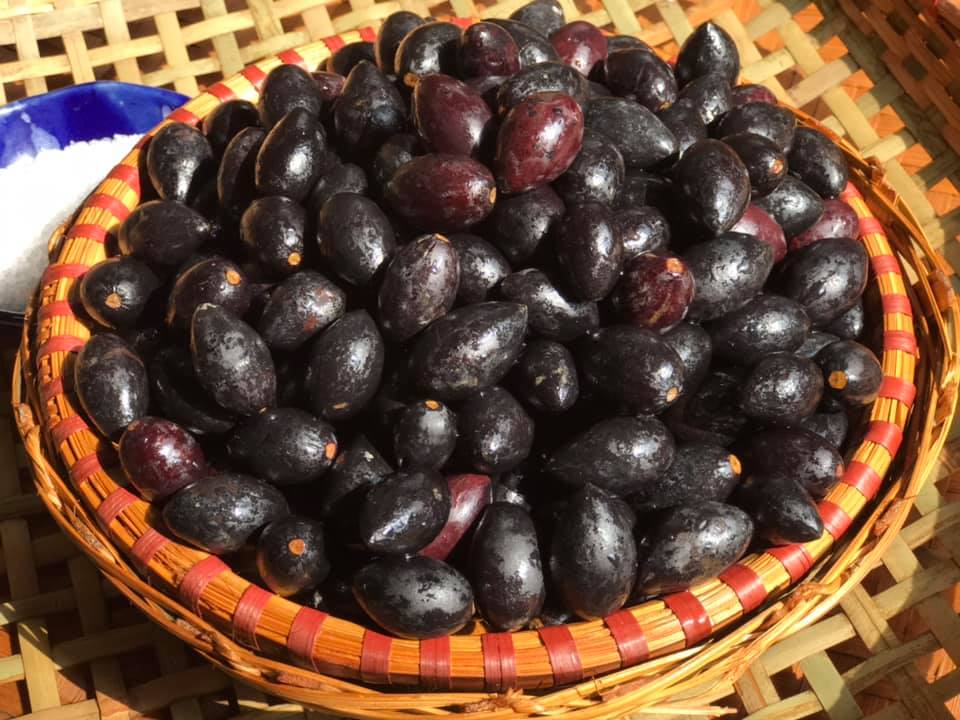 mẹo sơ chế và bảo quản trám đen