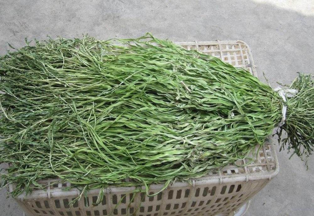 cách chọn rau tiến vua ngon