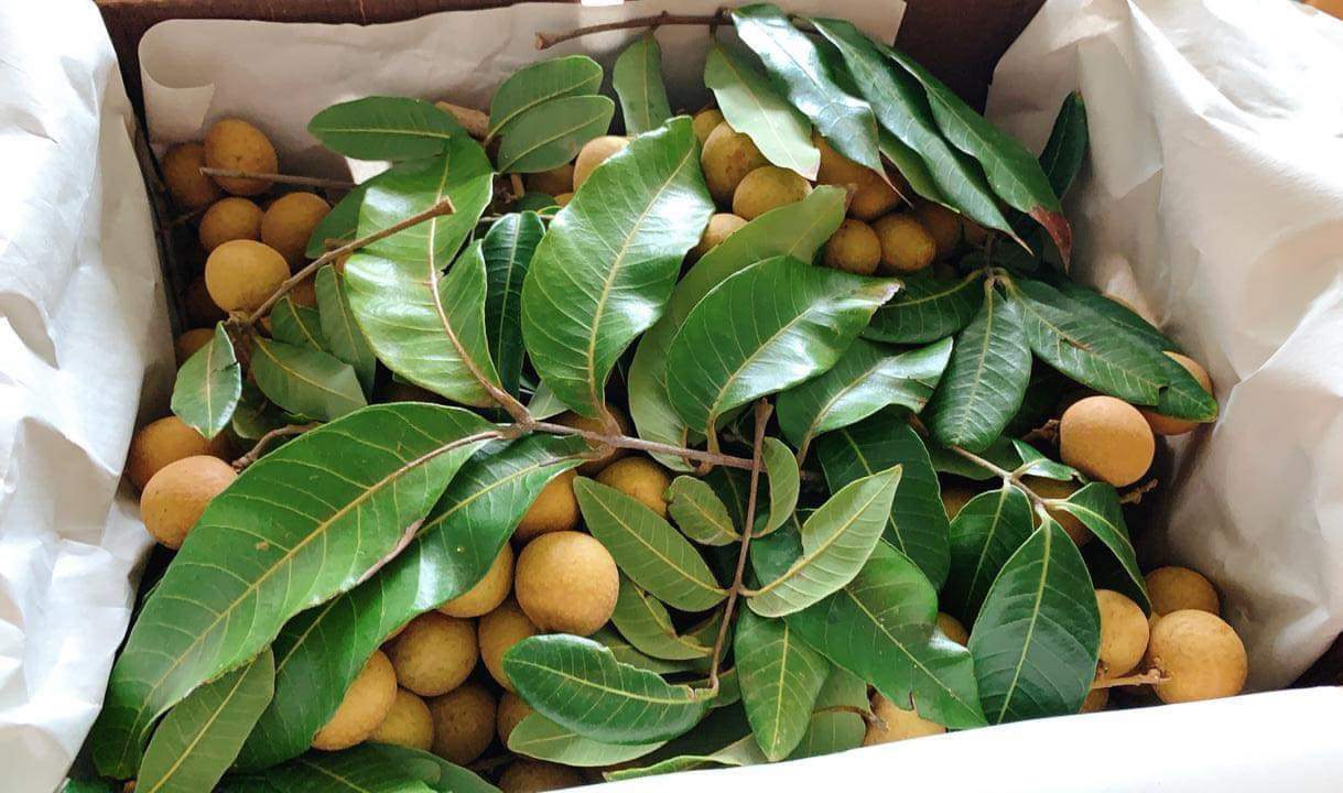 nhãn bao nhiêu calo