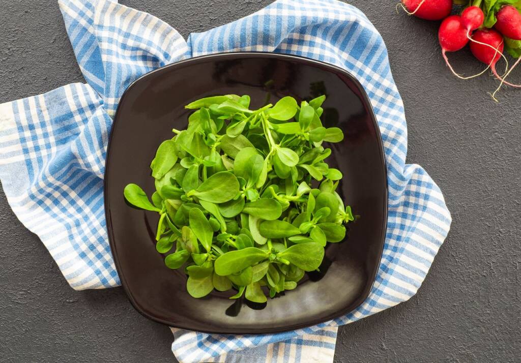 công dụng của rau sam